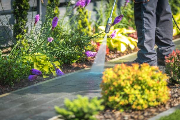 Best Animal Enclosure Cleaning  in Eastvale, CA